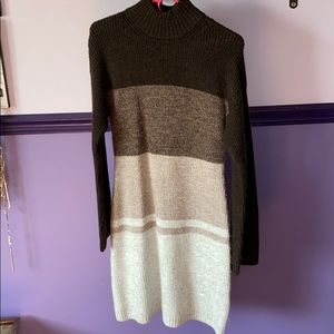 Express sweater dress